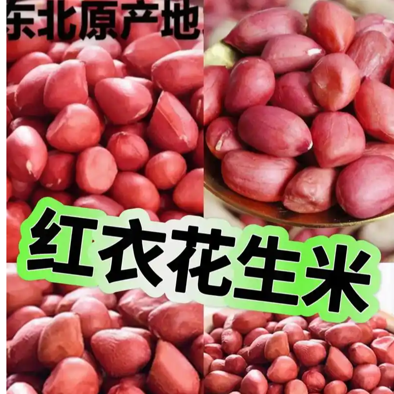 【大粒】红衣四粒红花生米东北吉林特产2025年新米手工挑选