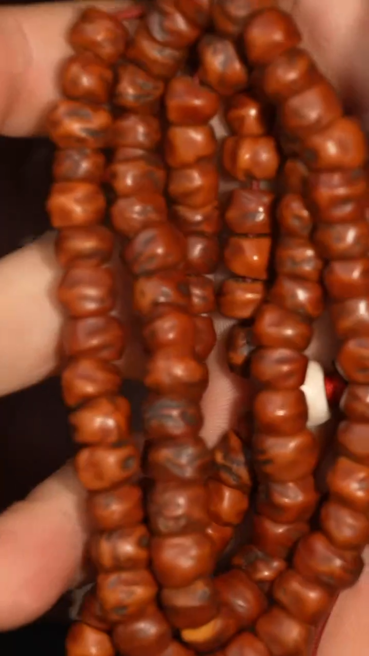 冲赛康胡子哥，藏传念珠177