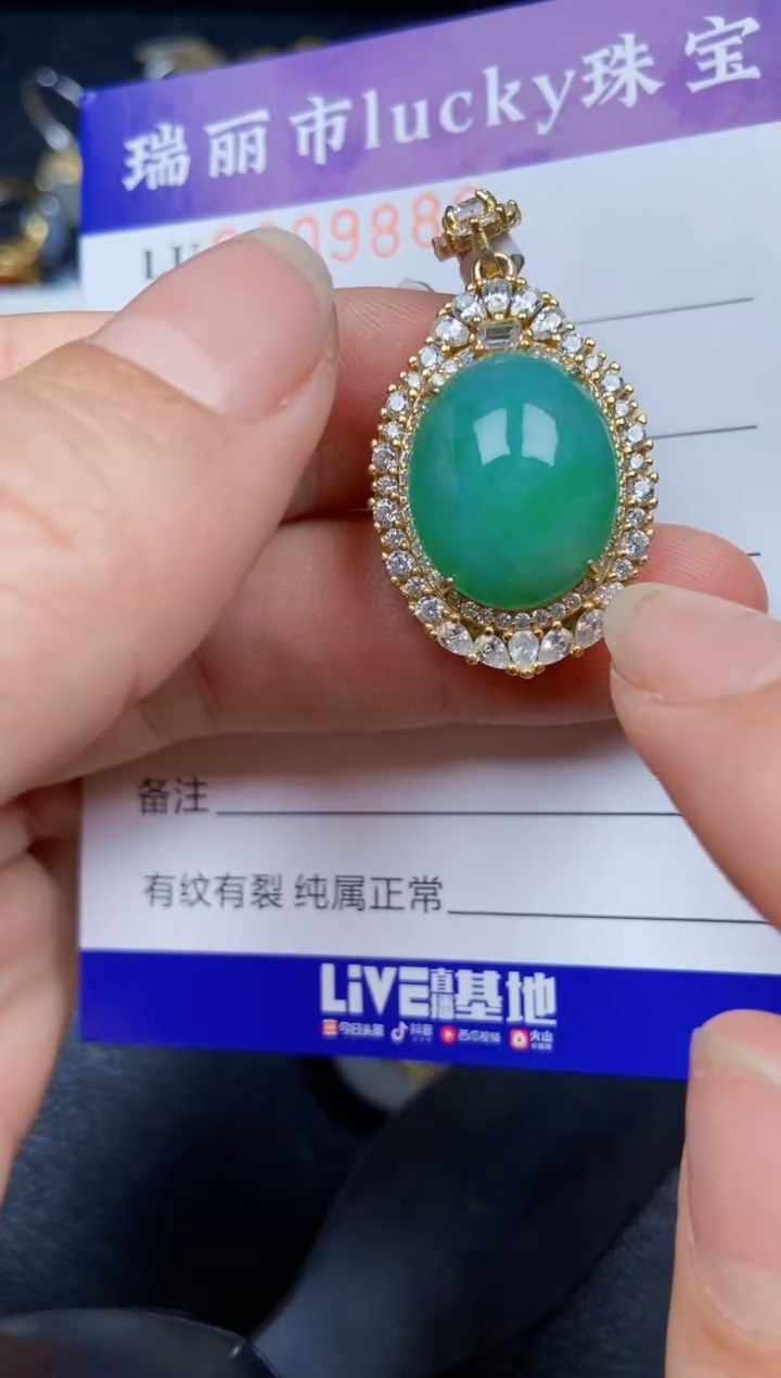 【闪购商品】翡翠颈饰银S925镶嵌9880