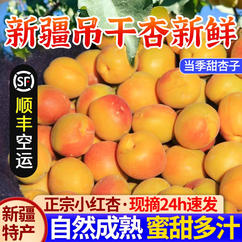 「次日达」新疆伊犁吊干杏小红杏爆甜【顺丰包邮新发地直发】新疆维吾尔自治区