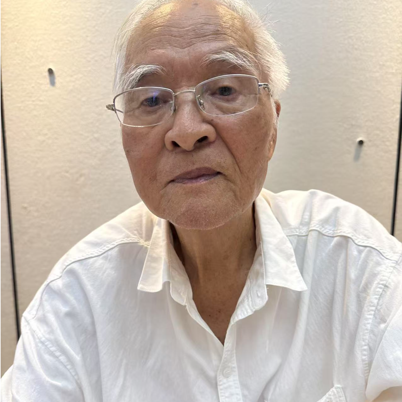 齐可来2平尺贝叶蝈蝈
