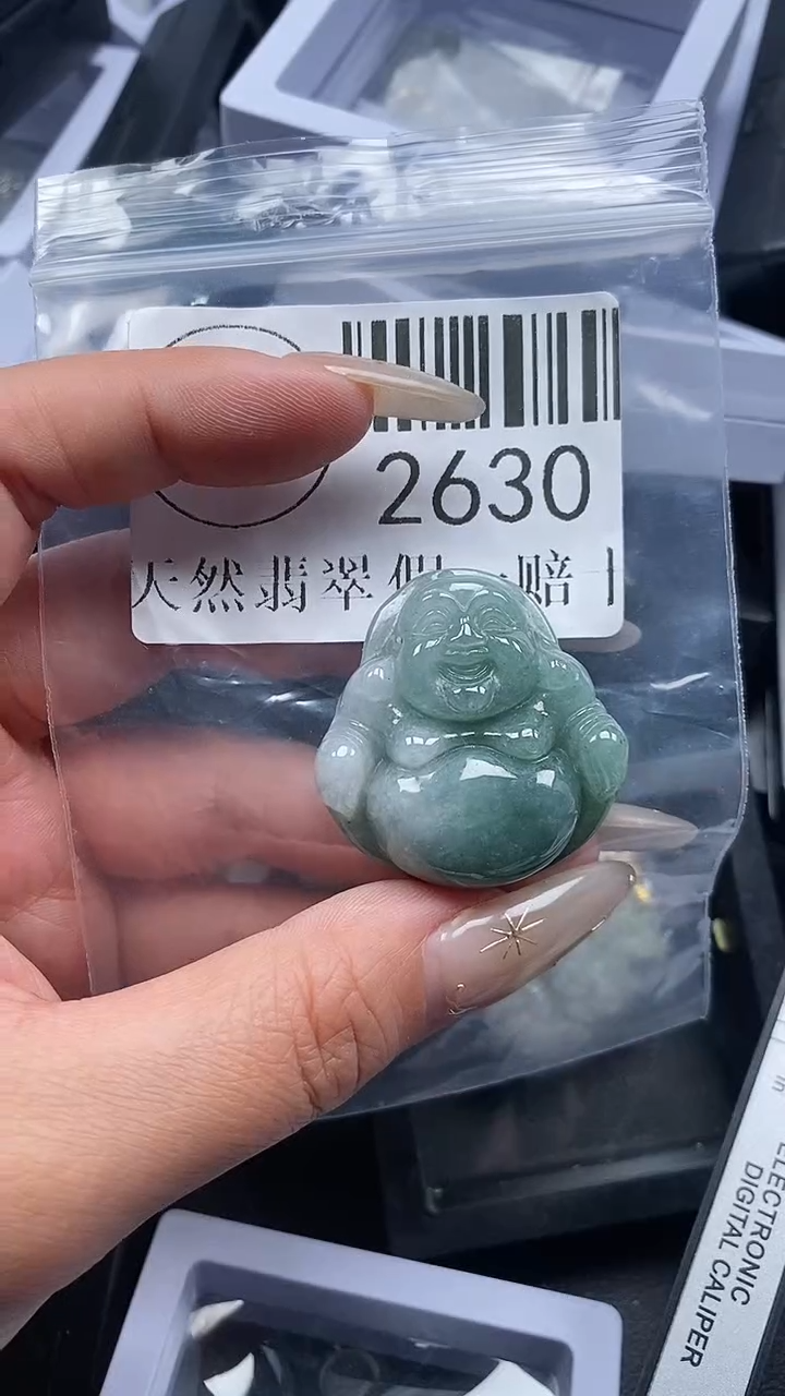 颈饰未镶嵌翡翠2630