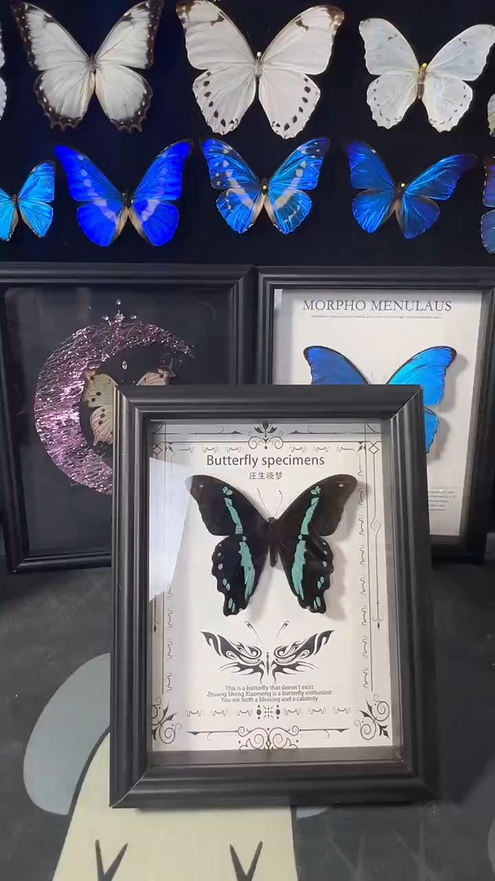 兰草德凤蝶欧版相框