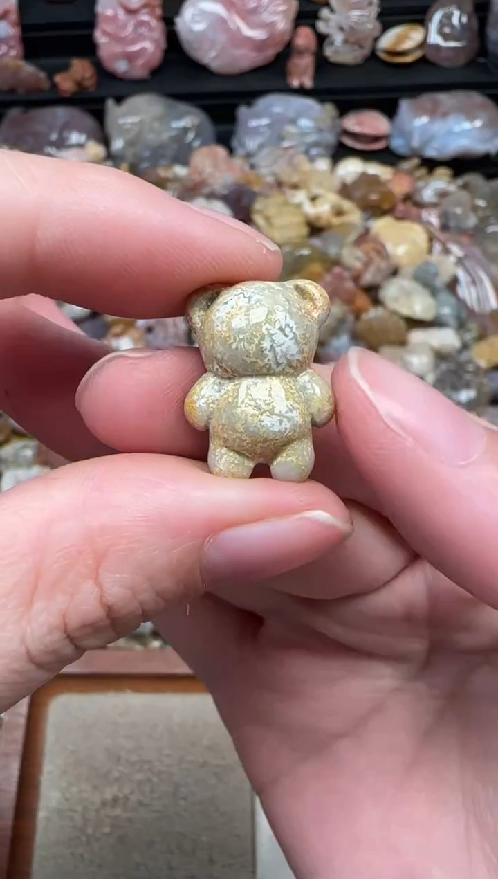 颈饰未镶嵌硅化珊瑚（珊瑚玉）571