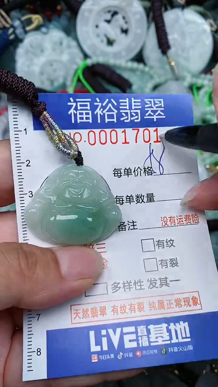 翡翠未镶嵌颈饰...0001701