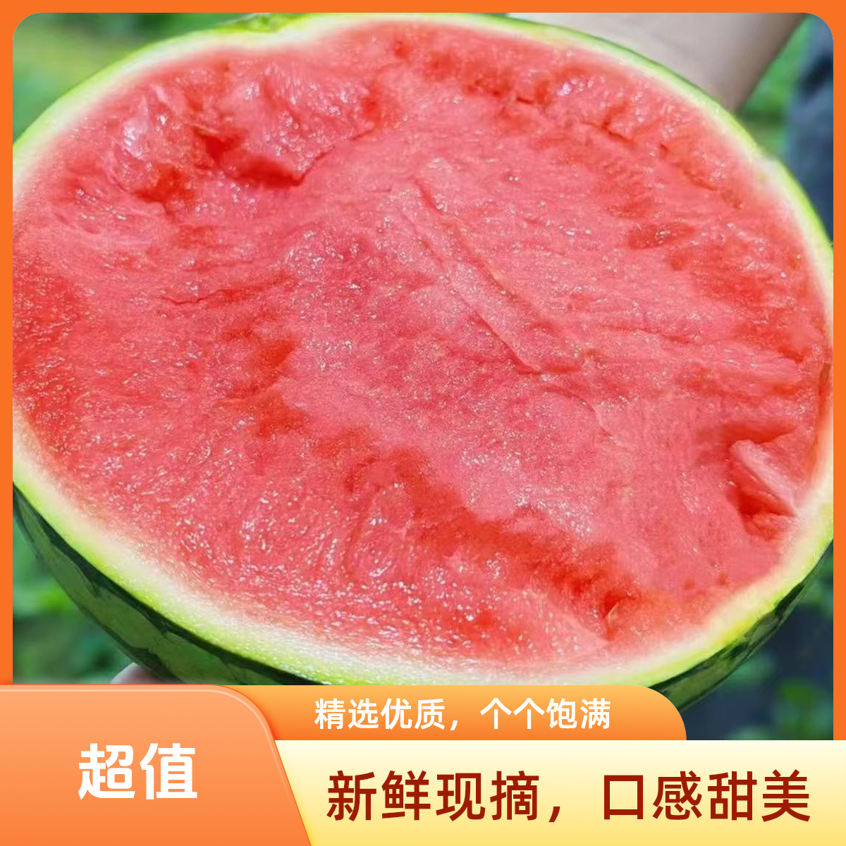 *限时福利【自选大瓜】江苏无籽麒麟大西瓜 脆甜爆汁6-9斤江苏省