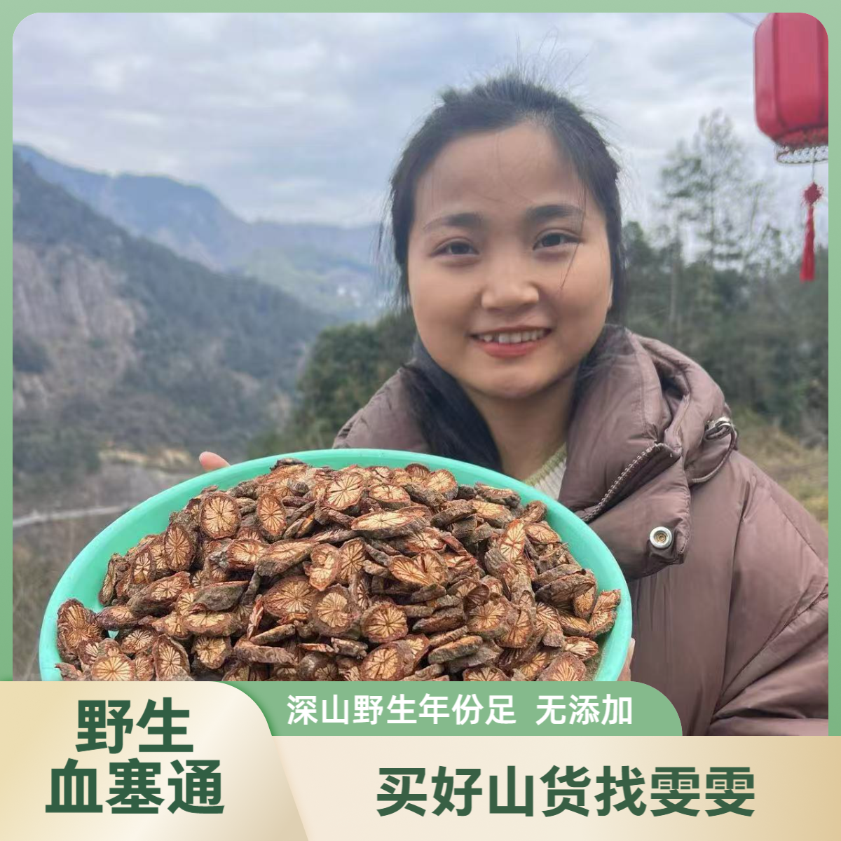 【血塞通】临安清凉峰高山野生血塞通大血藤深山红藤纯自然晒干煮水