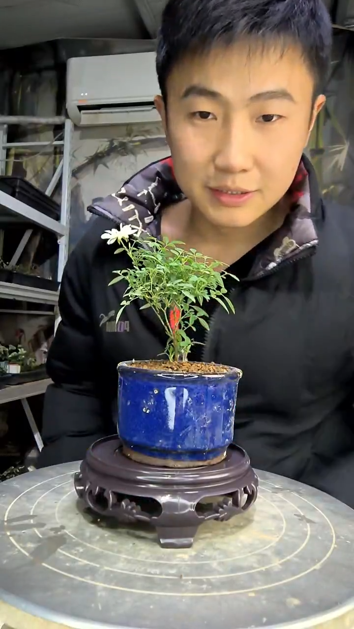 花**?中青园艺一物一拍花197