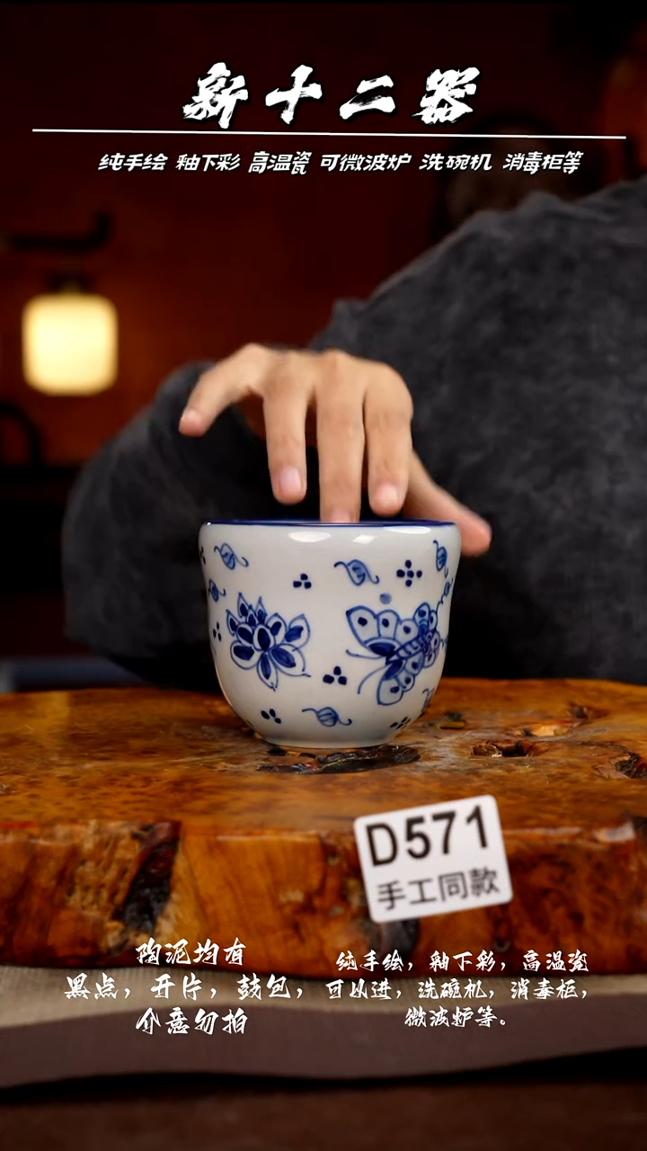 其他D571新十二器瓷器
