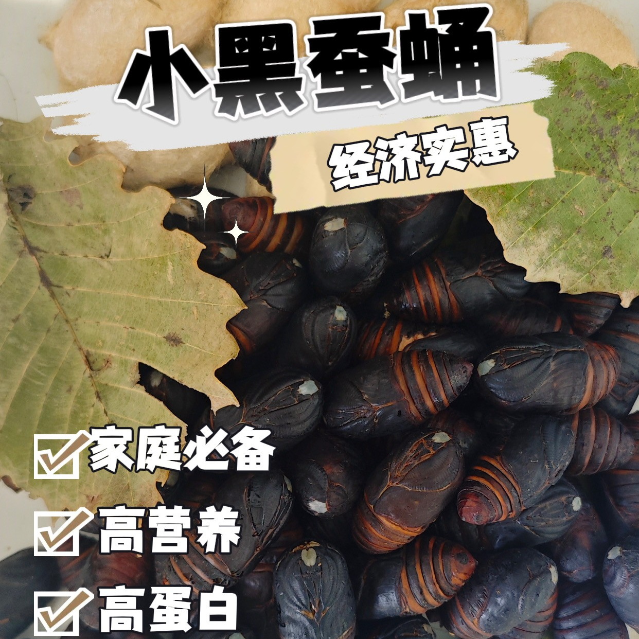 2025年新蛹新鲜小黑鲜活蚕蛹东北特产小黑鲜活蚕蛹东北大鲜活蚕蛹