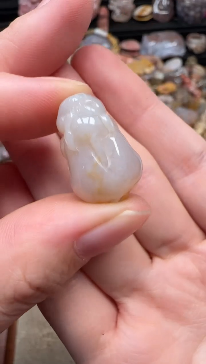 颈饰未镶嵌硅化珊瑚（珊瑚玉）296