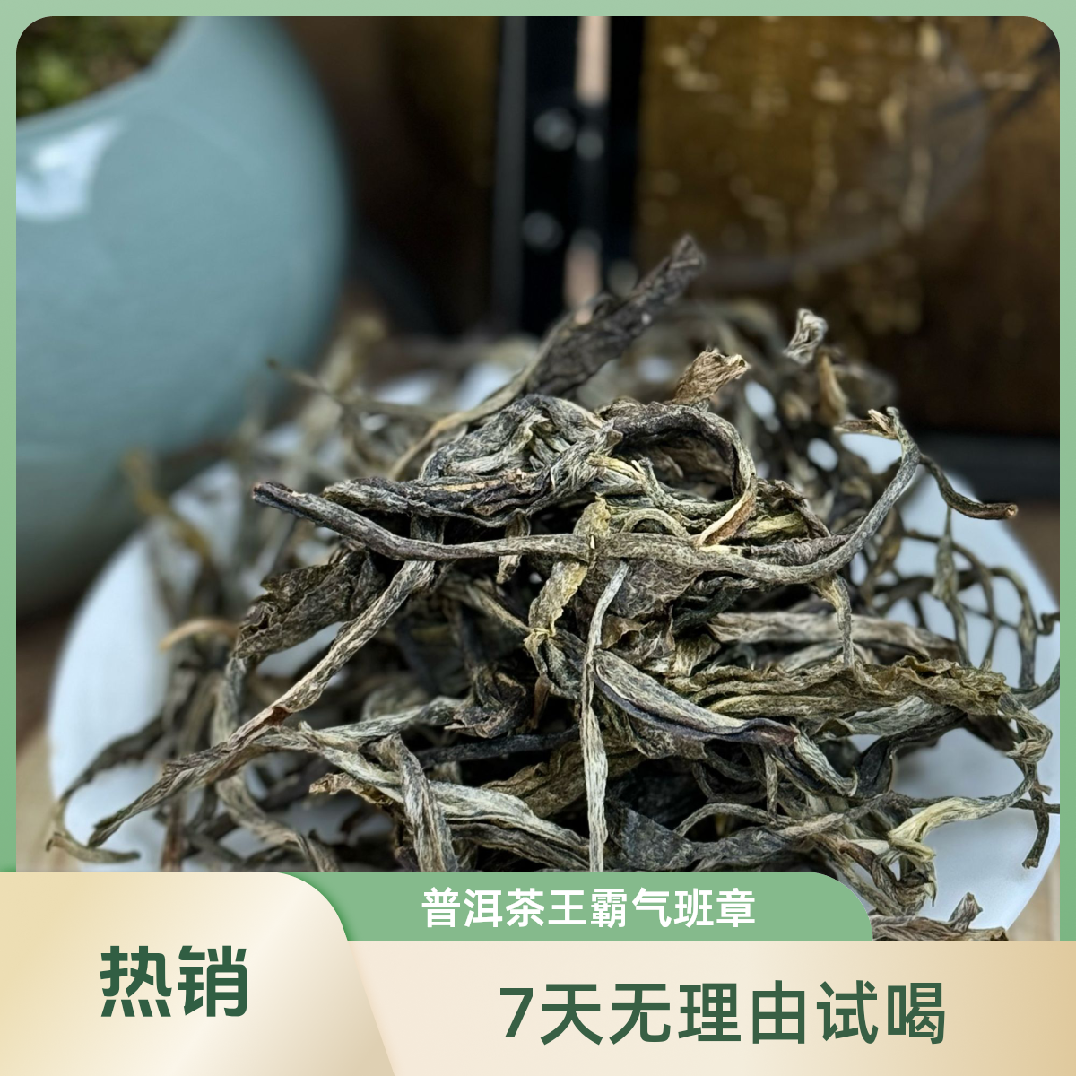 班章古树春茶普洱生茶散茶