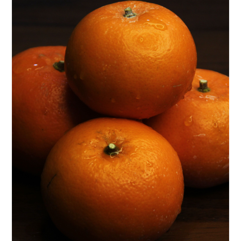 山歌绕粮沃柑广西河池宜州刘三姐故乡原生态兰姐沃柑