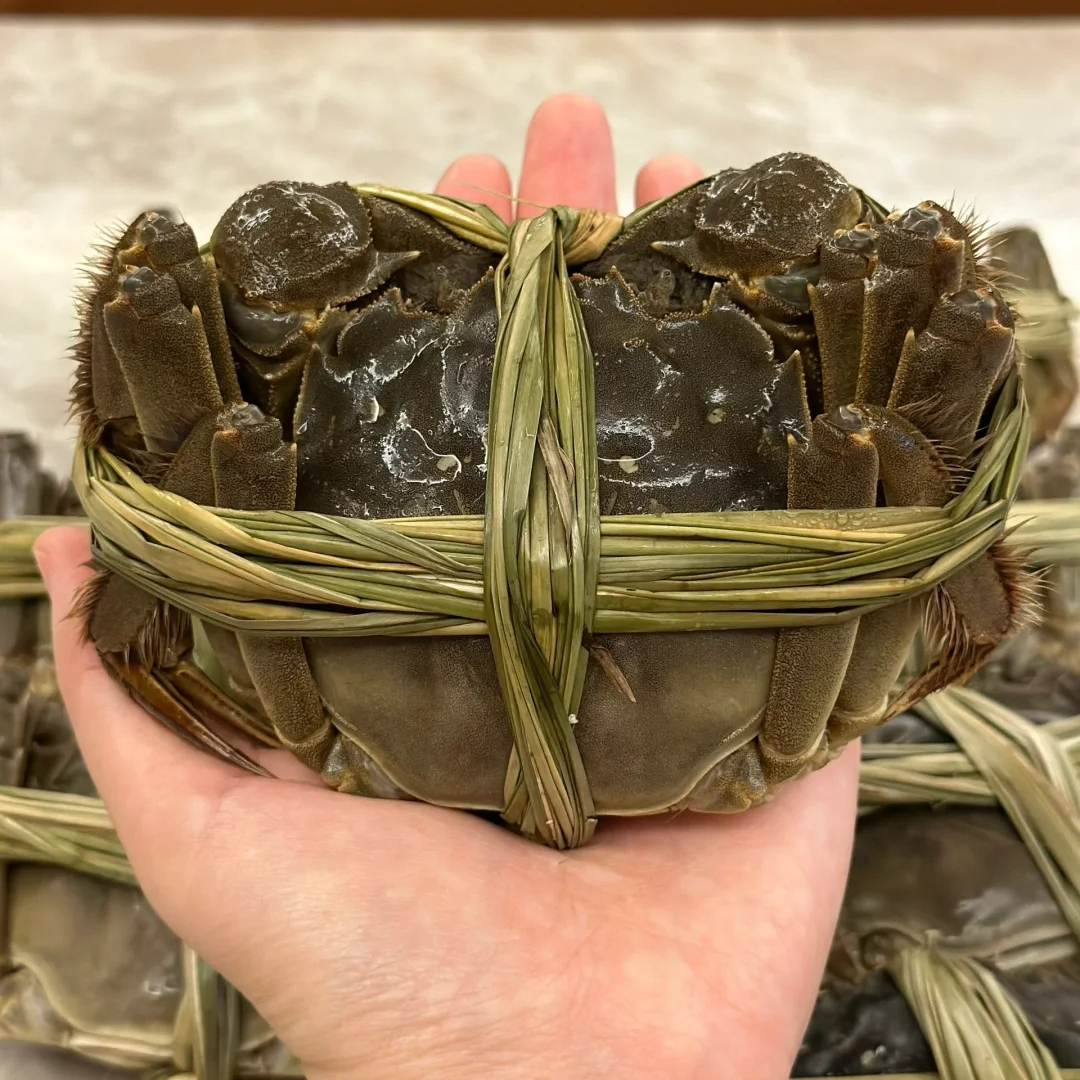 【活蟹】江苏大闸蟹 全母蟹礼盒（2.6-2.3两/只）8/10只装 顺丰包邮