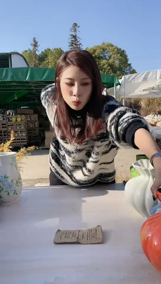 【闪购商品】陶瓷景德镇手工陶瓷