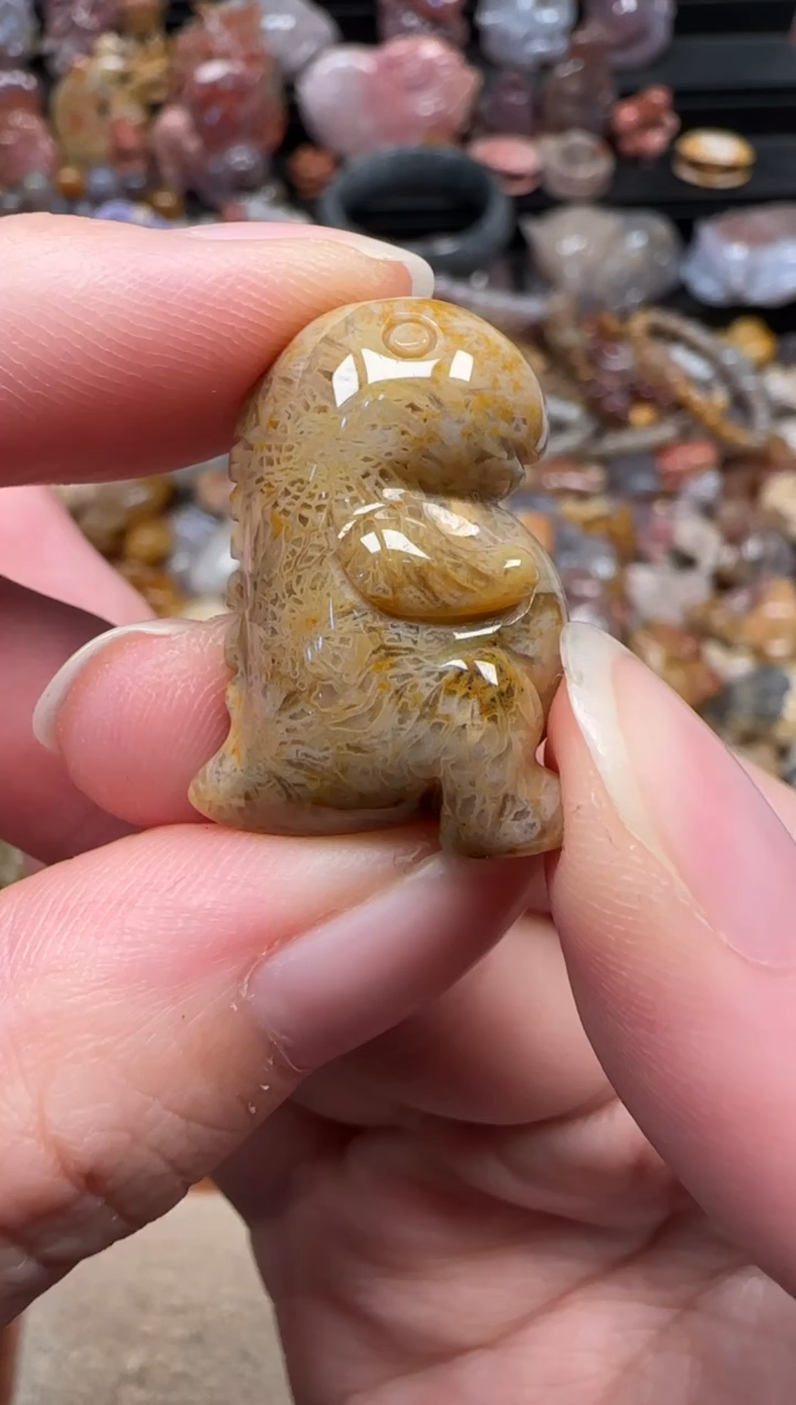 颈饰未镶嵌硅化珊瑚（珊瑚玉）044