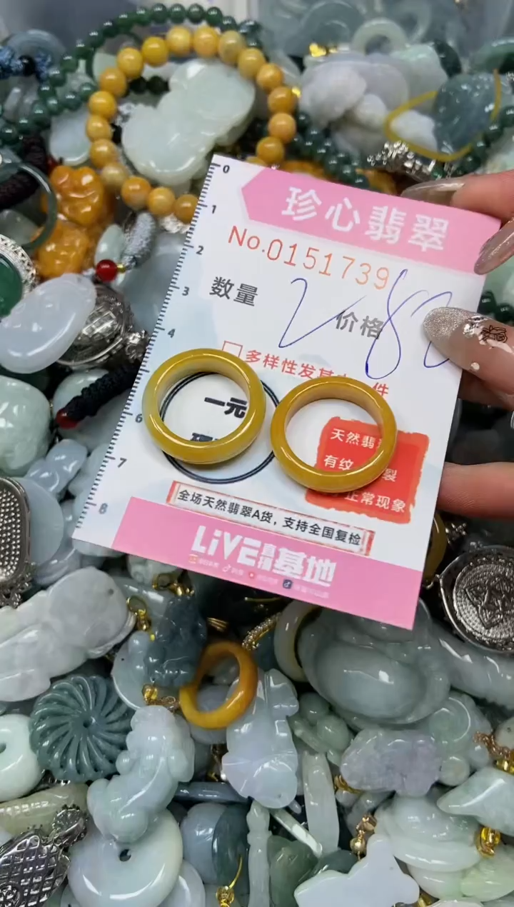 【闪购商品】翡翠颈饰未镶嵌闪购0151739