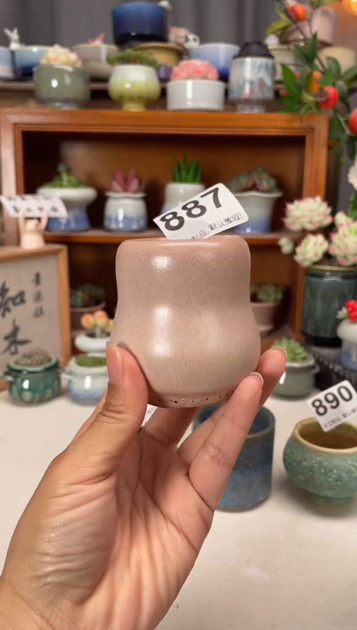 瓷片福利887知木小芳花盆