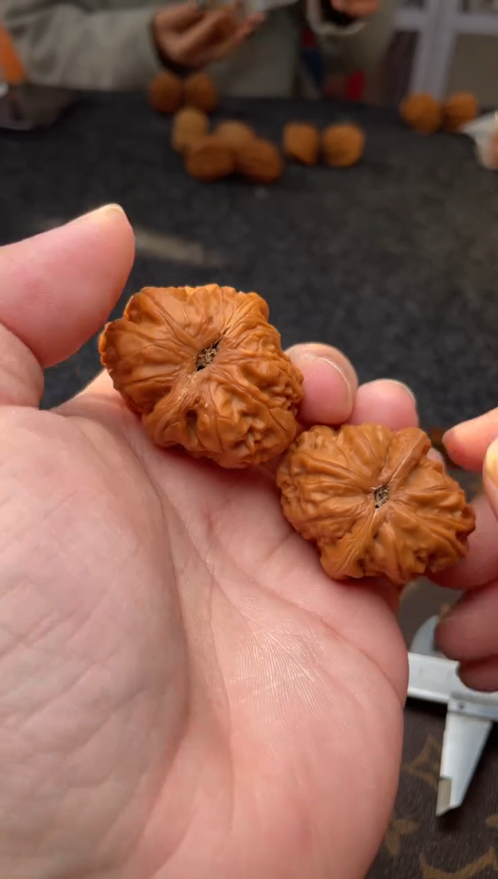 把件文玩核桃B  270号   43尺元宝