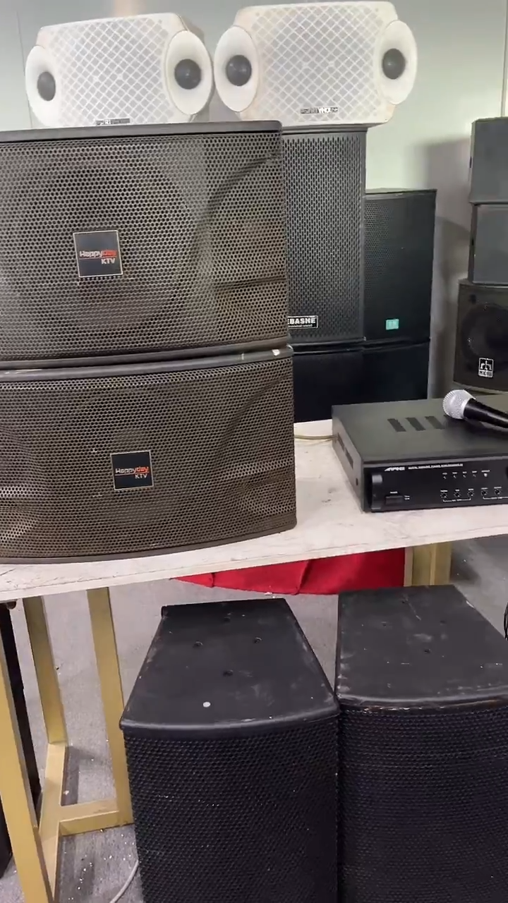 不包邮 10寸卡包音响  KTV音箱一对 +单只功放  运费到付