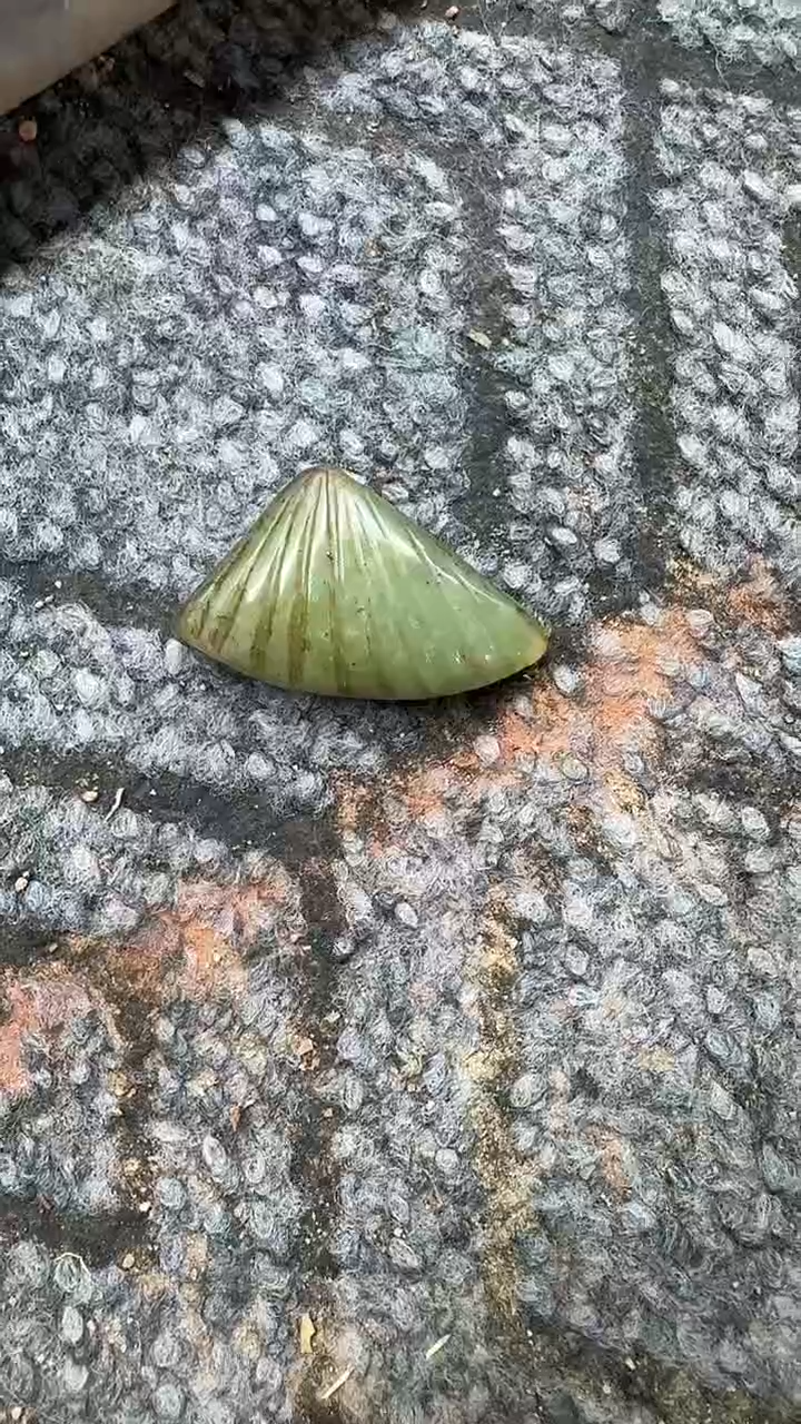 未镶嵌和田玉挂件摆件