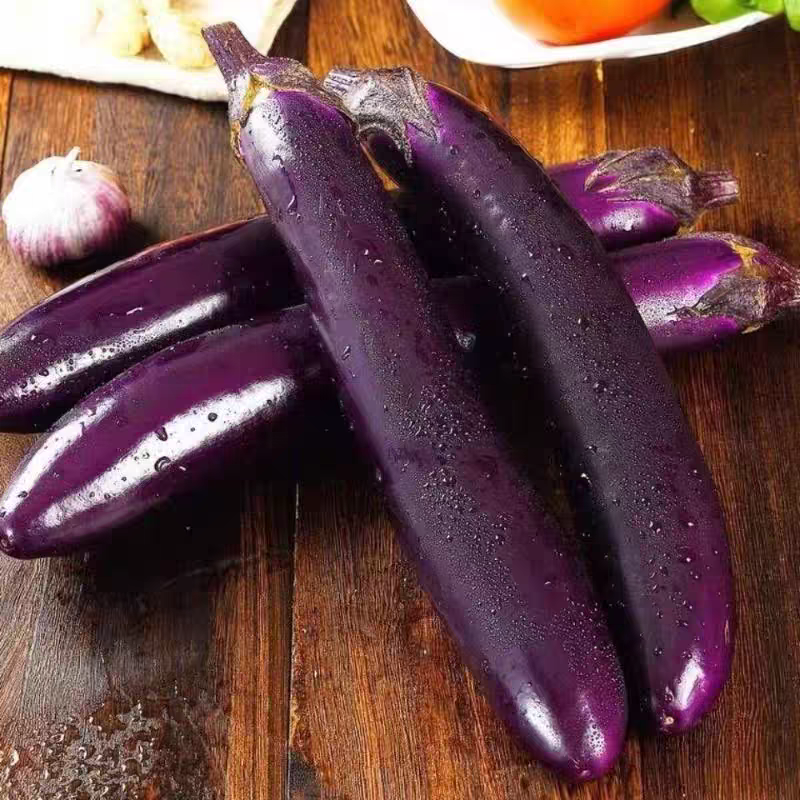 云南高山露天新鲜现摘紫色长茄子当季时令蔬菜