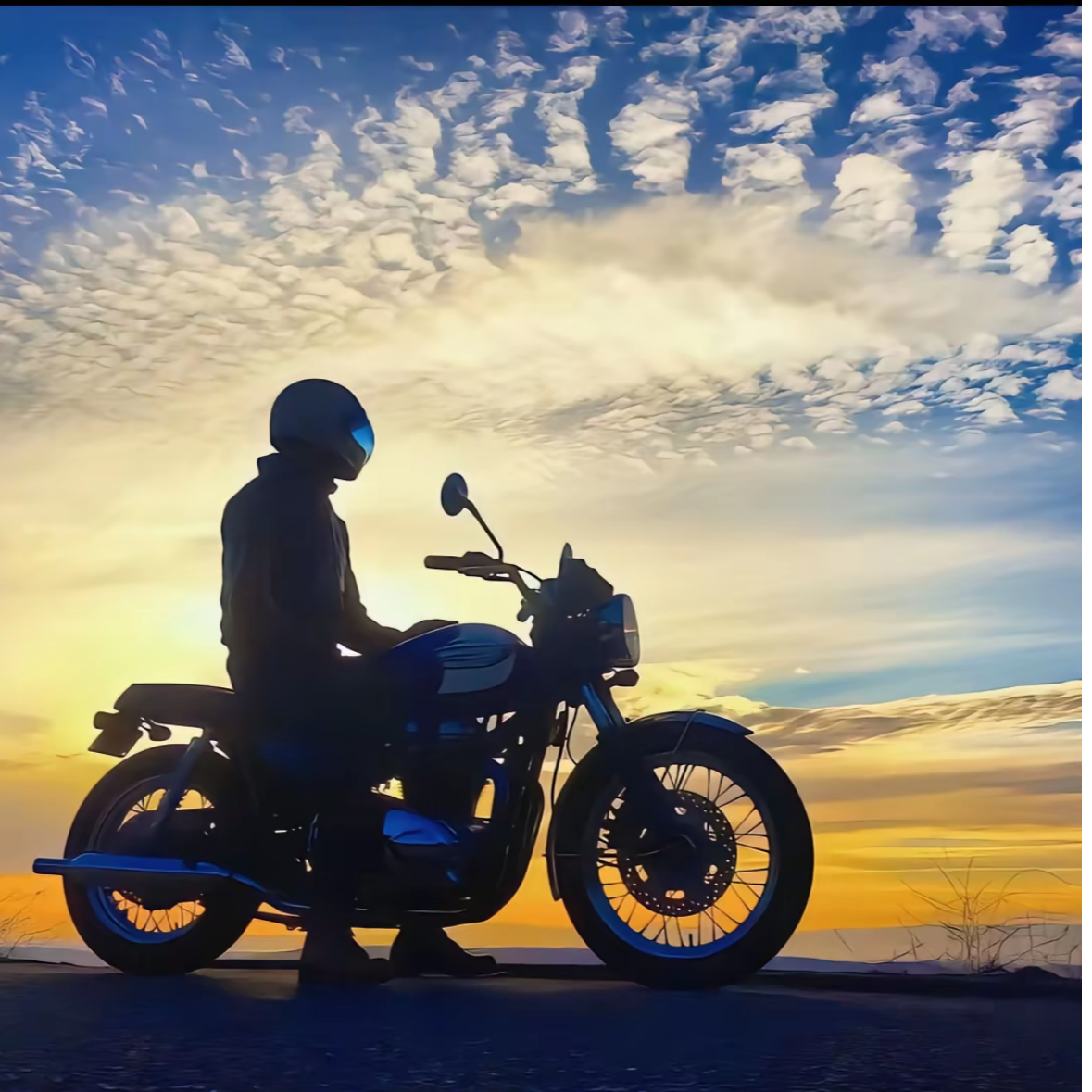 1sln donw 【轻量化保暖】户外羽绒服滑雪系列透气防水鹅绒防风轻便