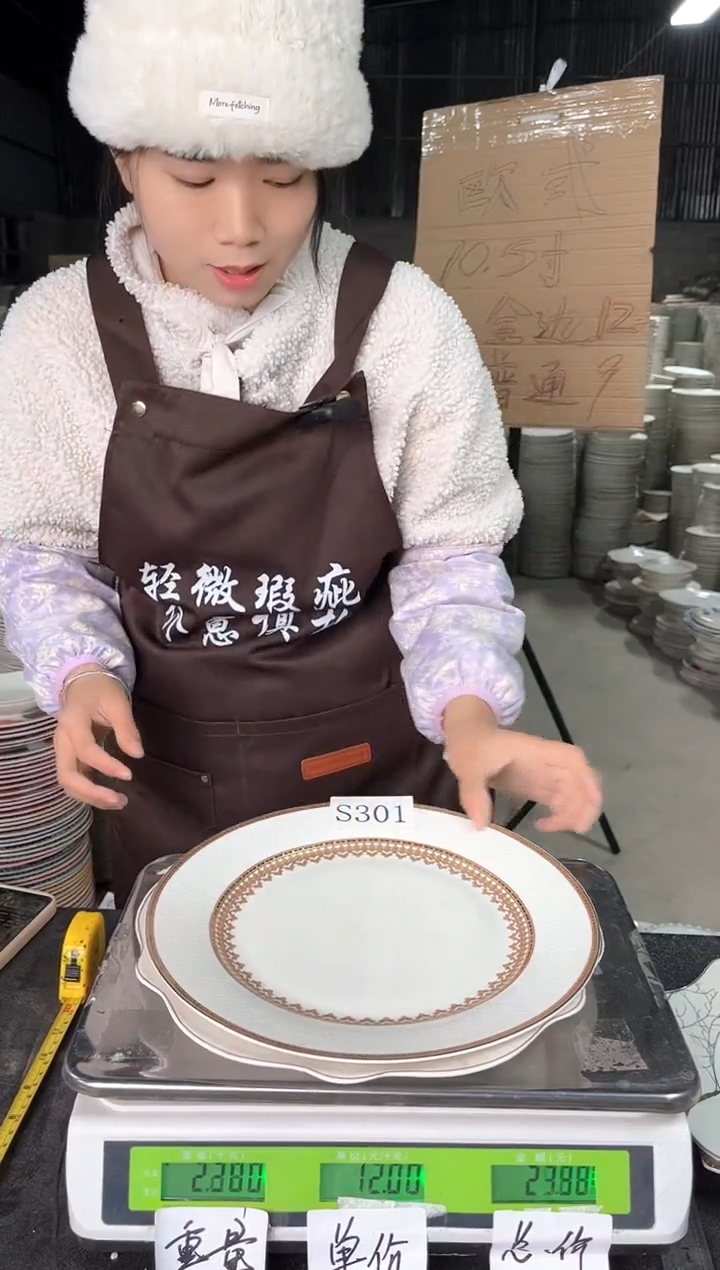 【闪购商品】瓷S301  10.5寸  2个