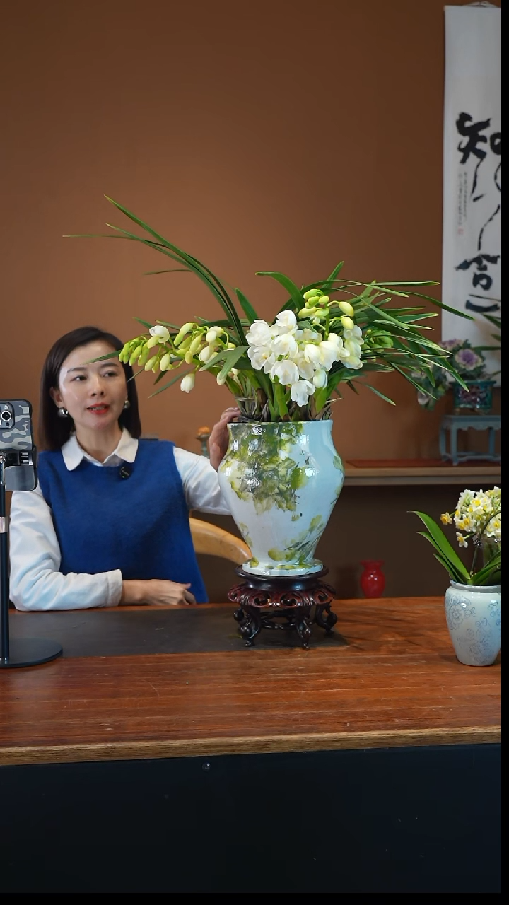 全部花朵玉兔盆景盆景