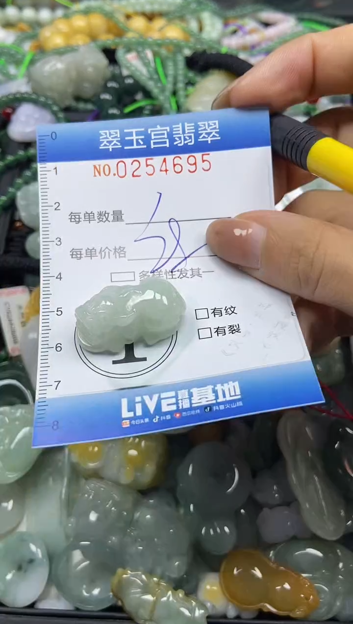 颈饰未镶嵌翡翠闪购C0254695