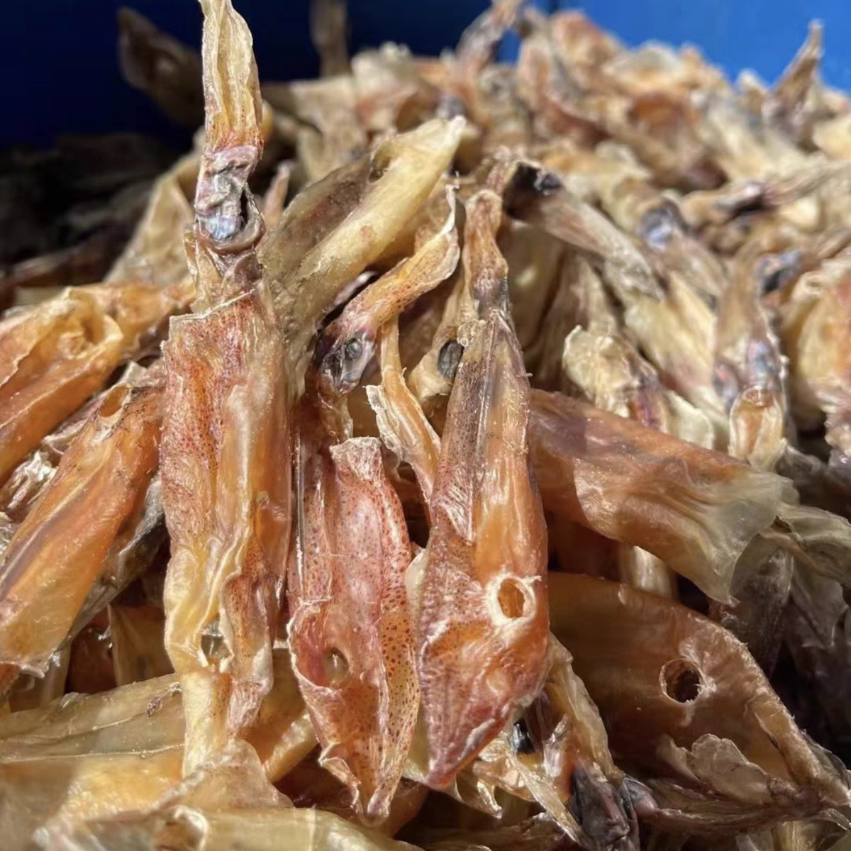 广西淡晒无盐正品小鱿鱼筒