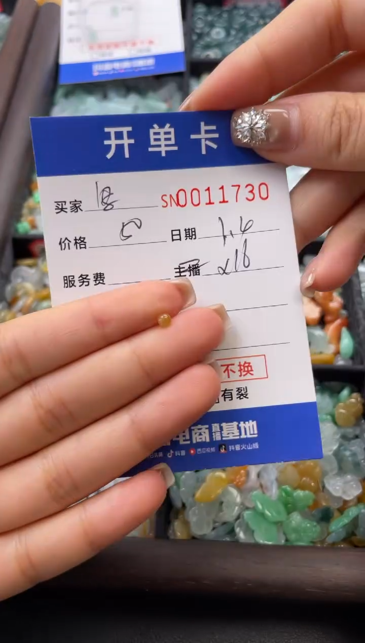 颈饰未镶嵌翡翠写***母11730