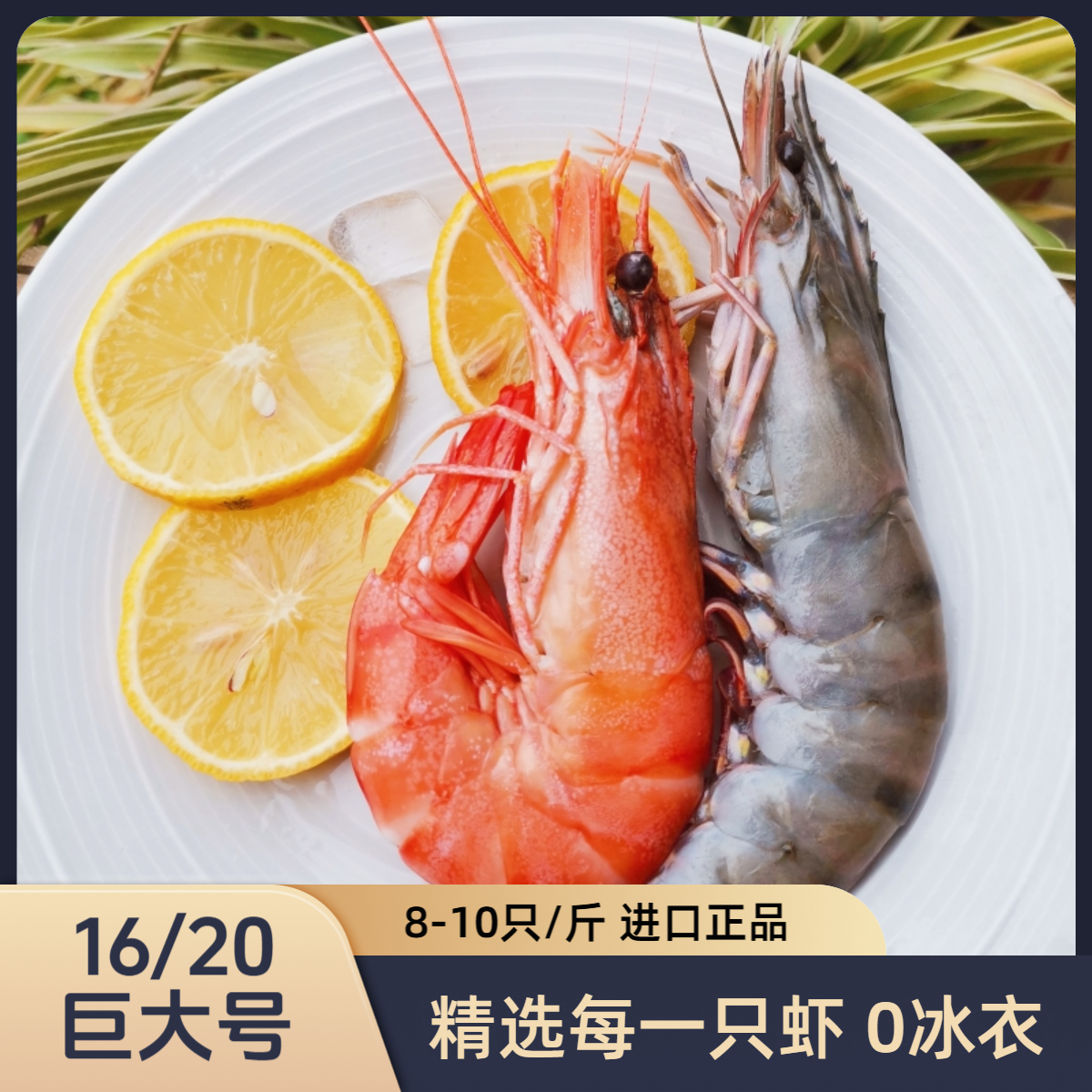 【特A级】1620黑虎虾 无黑头黑爪活虾速冻 斑节虾 盐冻
