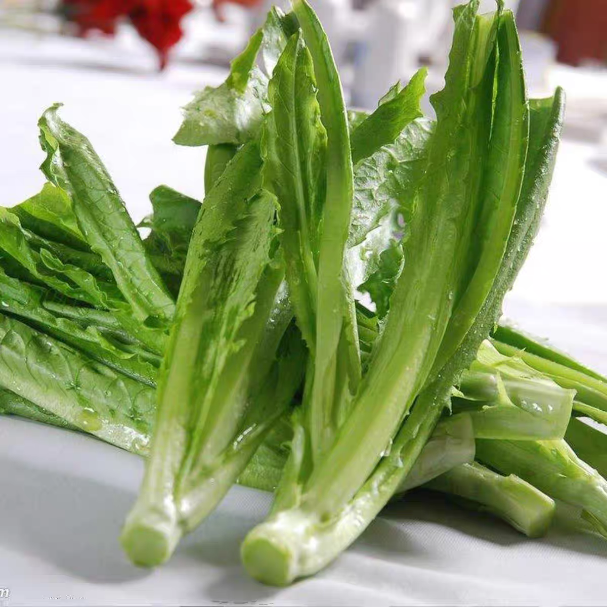 蔬菜油麦菜4元/斤