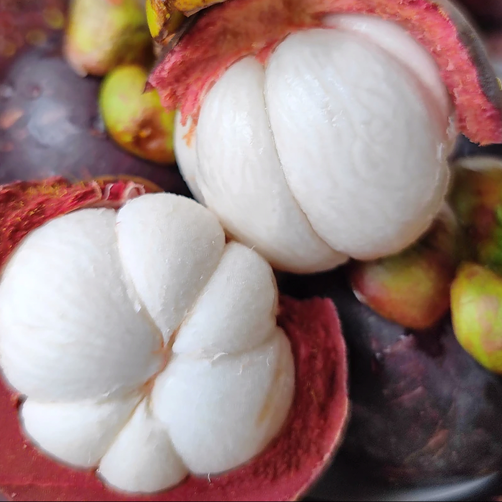 【大飞】3A级山竹泰国空运新鲜老树麻竹三斤（净重3斤左右/份）