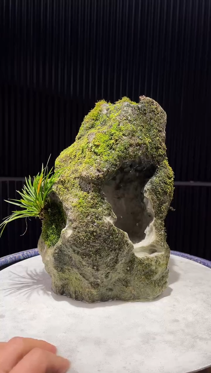 造型吴定石一物一拍专属