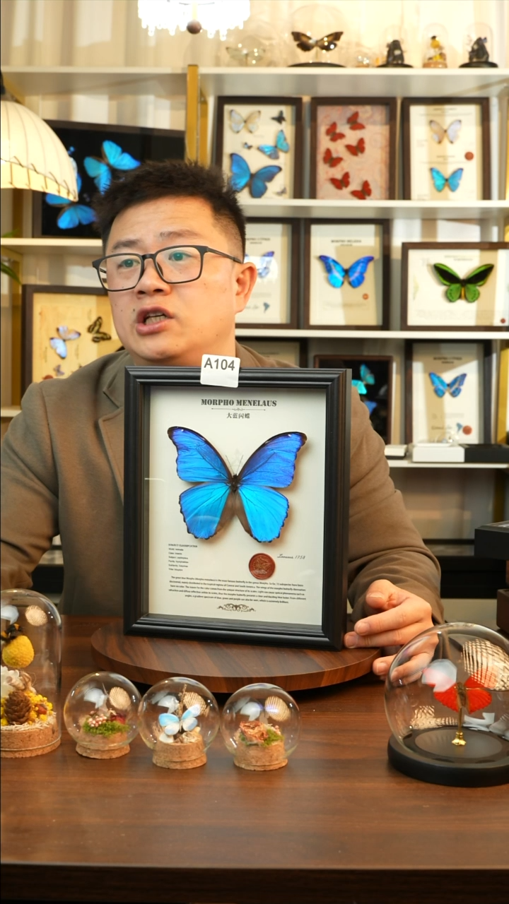 大蓝闪蝶-英文（10寸欧式黑框）A104