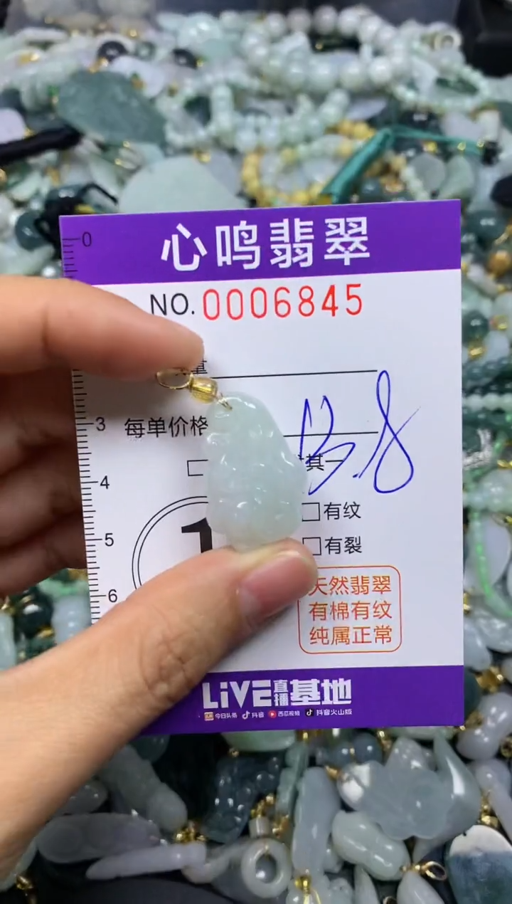 【闪购商品】翡翠颈饰未镶嵌闪购006845