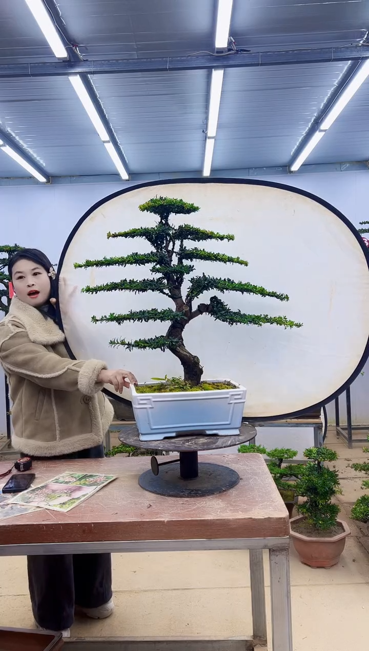 无花朵一物一拍，所见即所得
