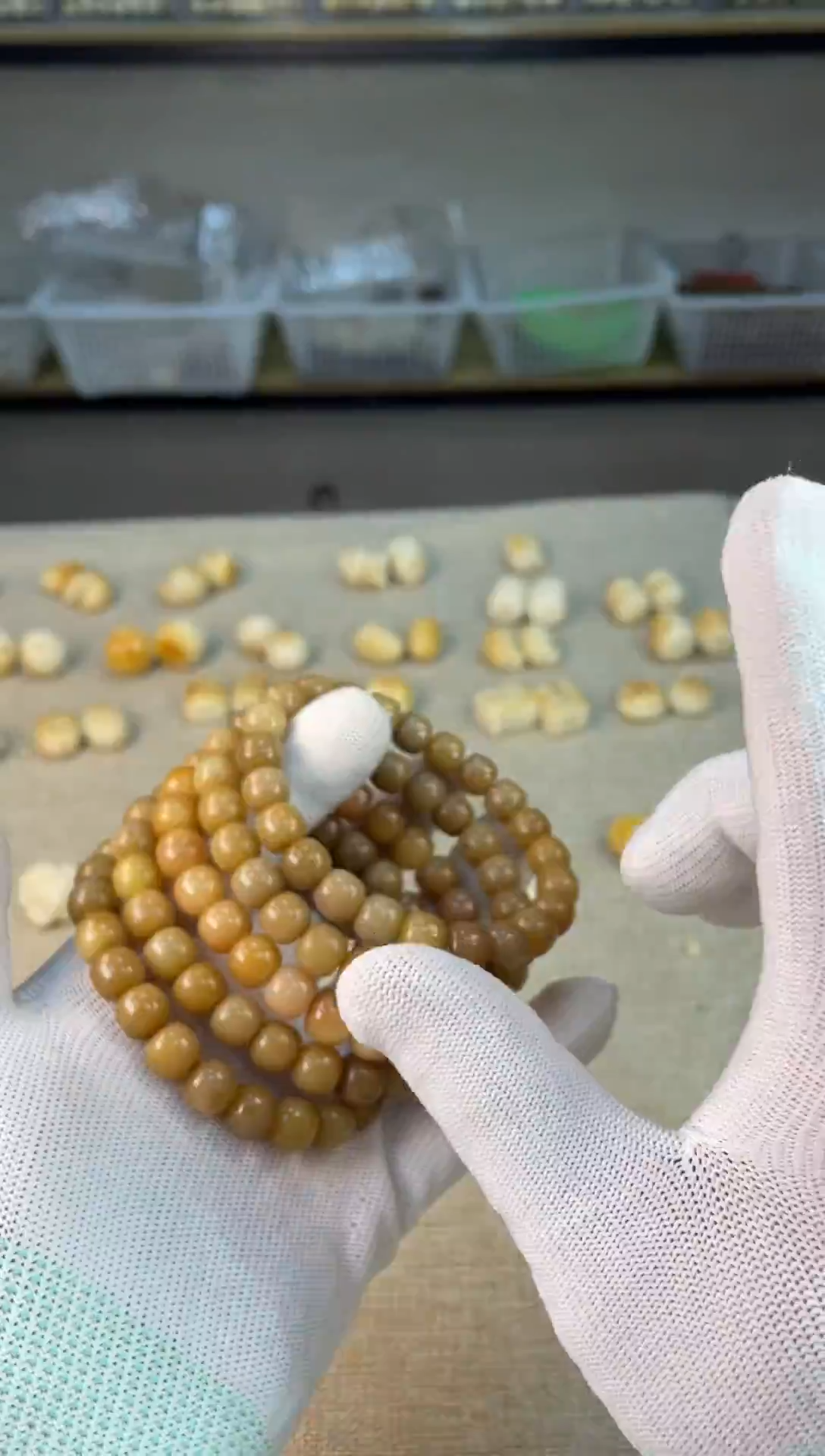 手串菩提根/象牙果08