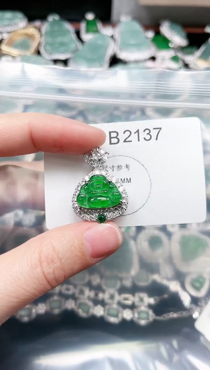 【闪购商品】翡翠颈饰未镶嵌赠皮绳2137