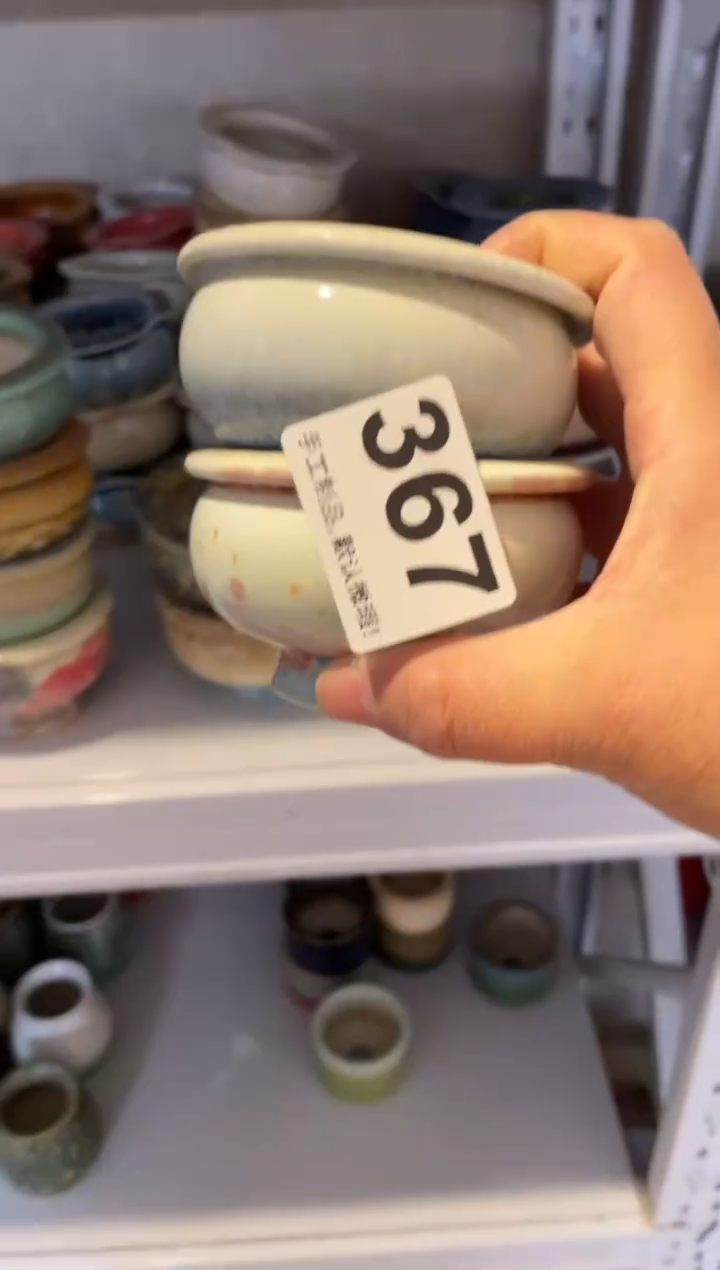 瓷片酥***瓜367小芳直播编号