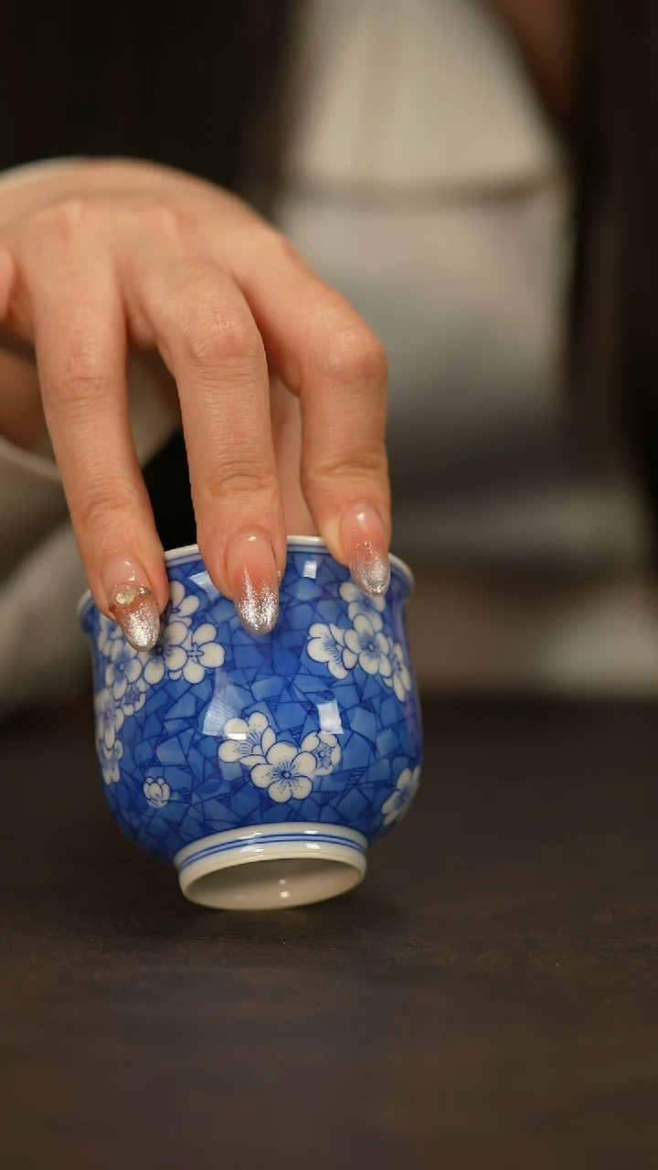 【闪购商品】瓷片春生                  