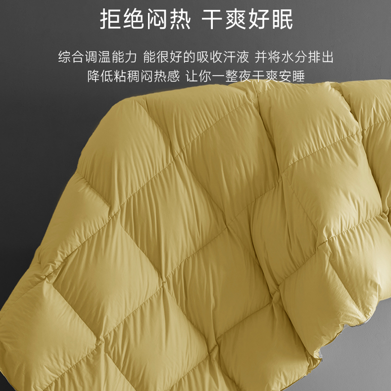 800蓬松度95番鸭绒加厚标准冬被超柔超软静音五星级酒店同款