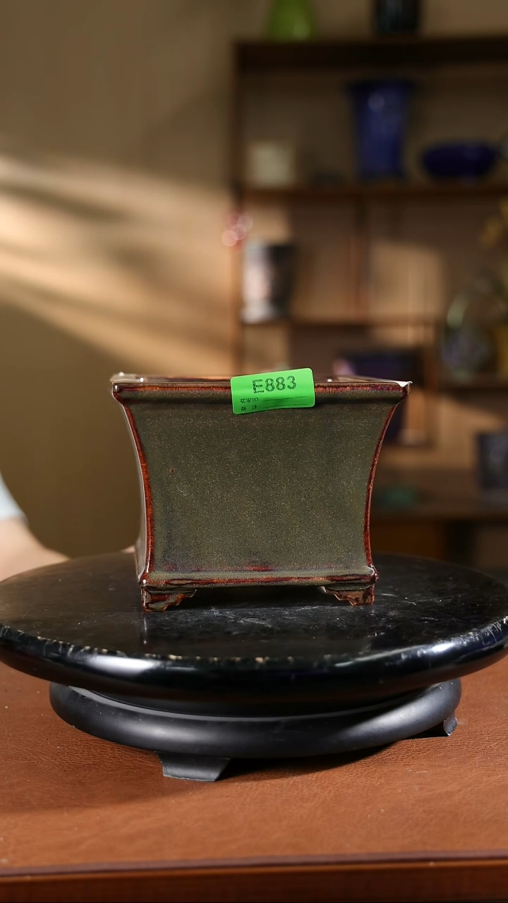 883   5.5寸飘口兰盆