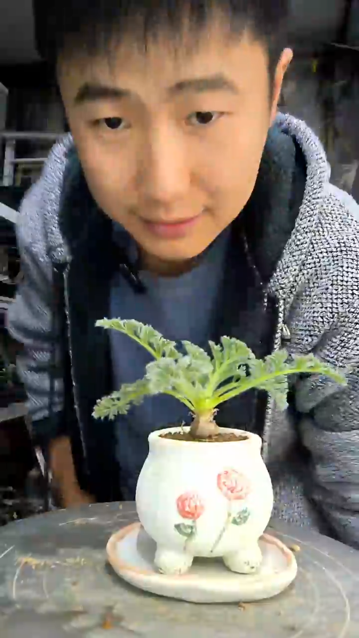 我****了中青园艺一物一拍花264