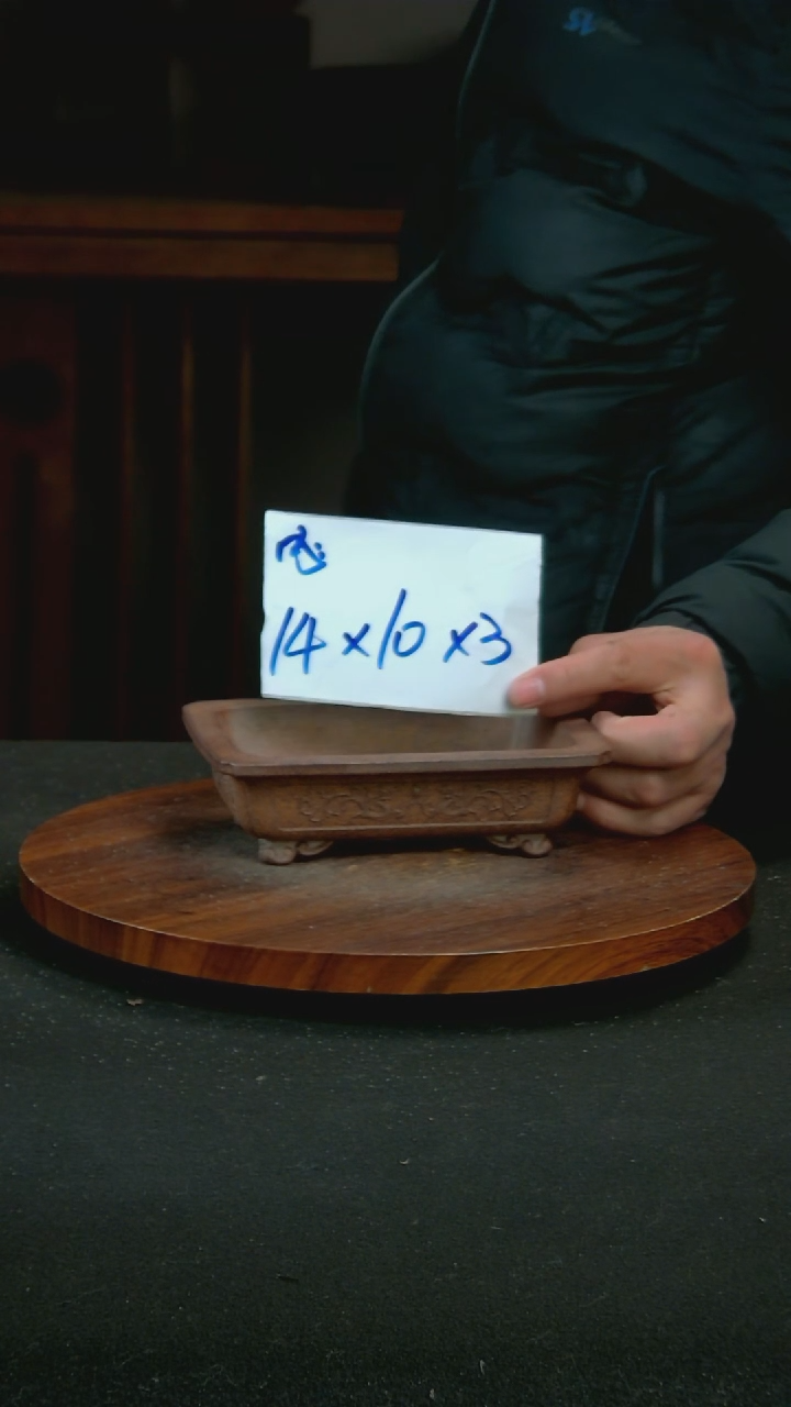 【闪购商品】紫砂R53