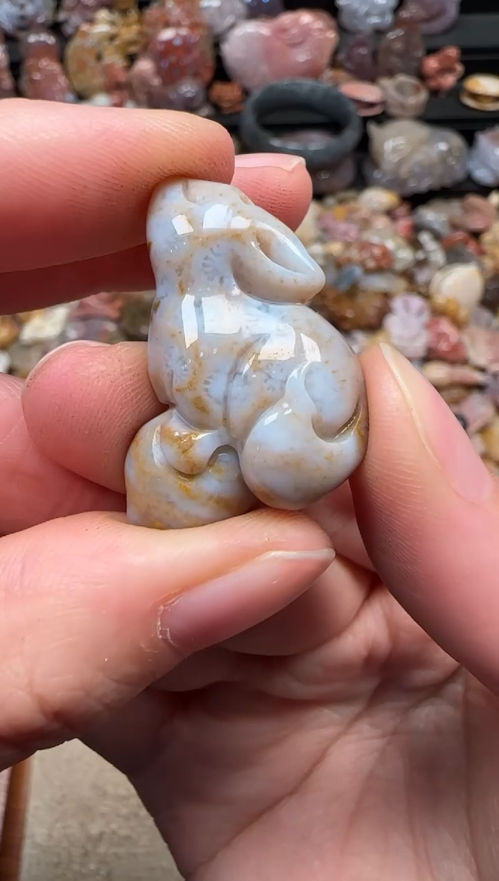 颈饰未镶嵌硅化珊瑚（珊瑚玉）771