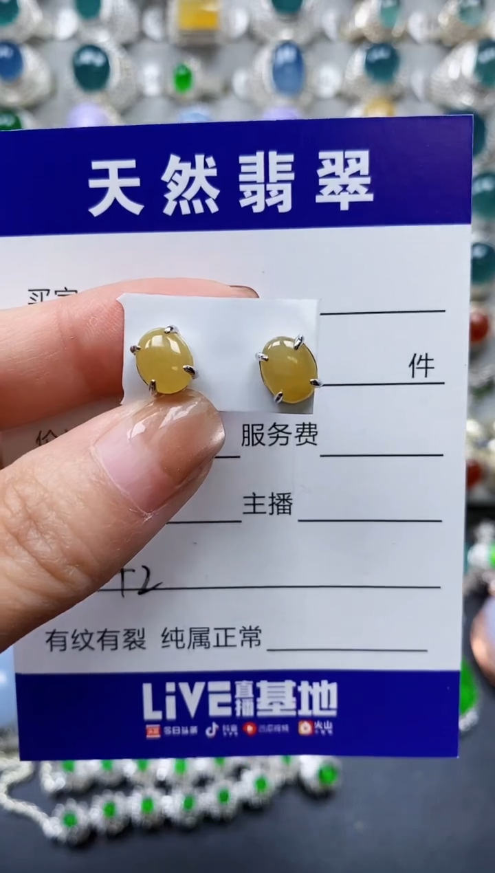【闪购商品】翡翠耳饰银S925镶嵌0042