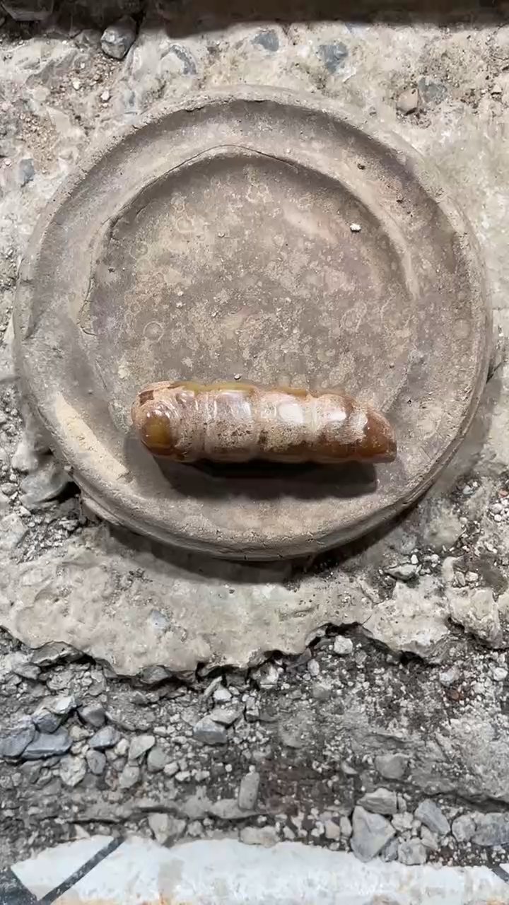 【闪购商品】瓷片手工，手绘，陶器